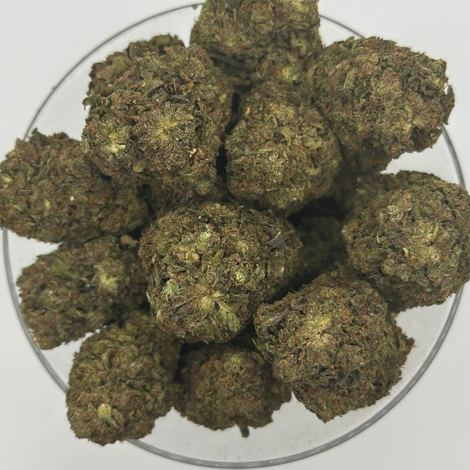 bubblegum gelato 4oz