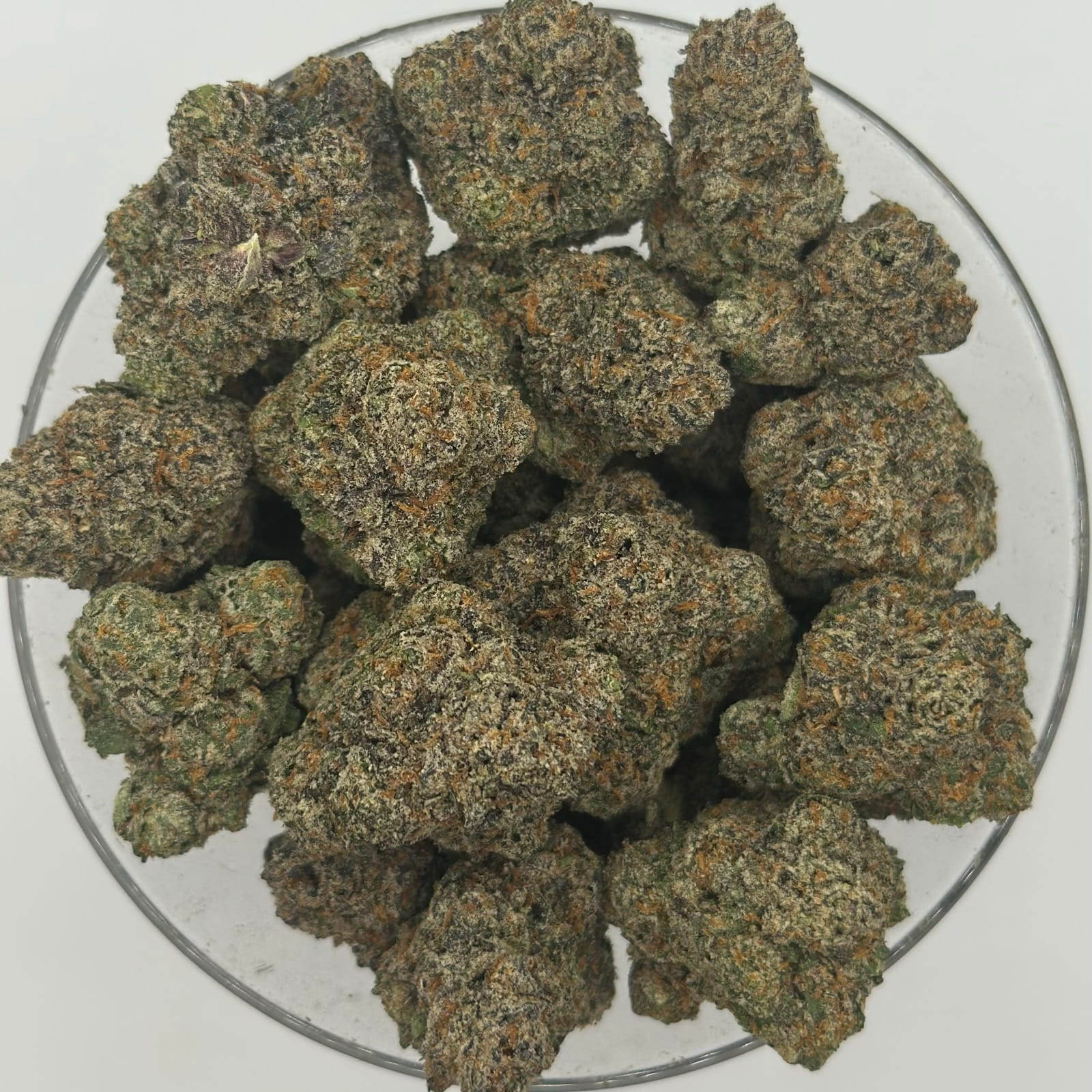 gelato 41 4oz