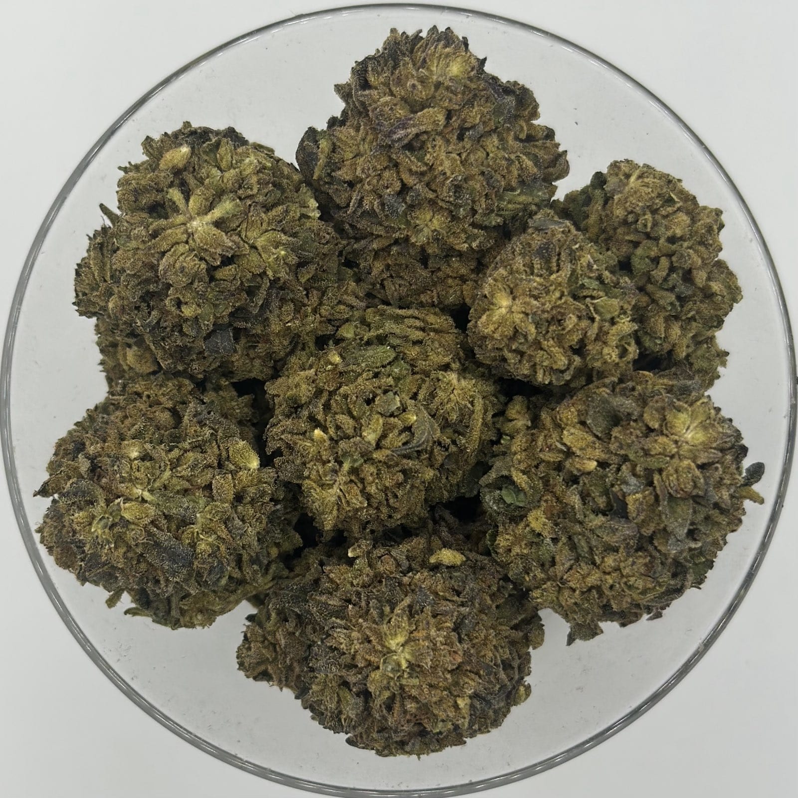 gary payton 4oz