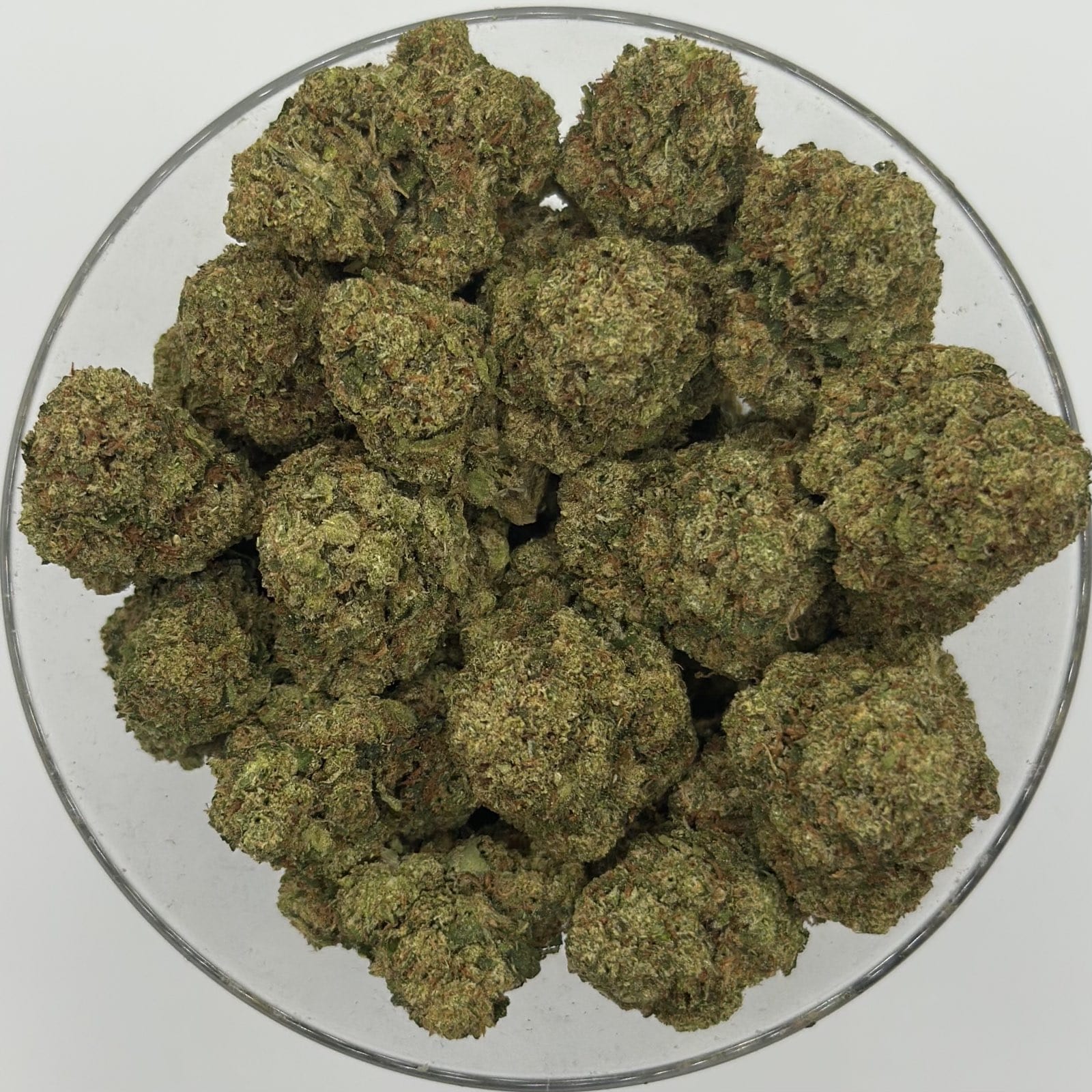 platinum og 4oz