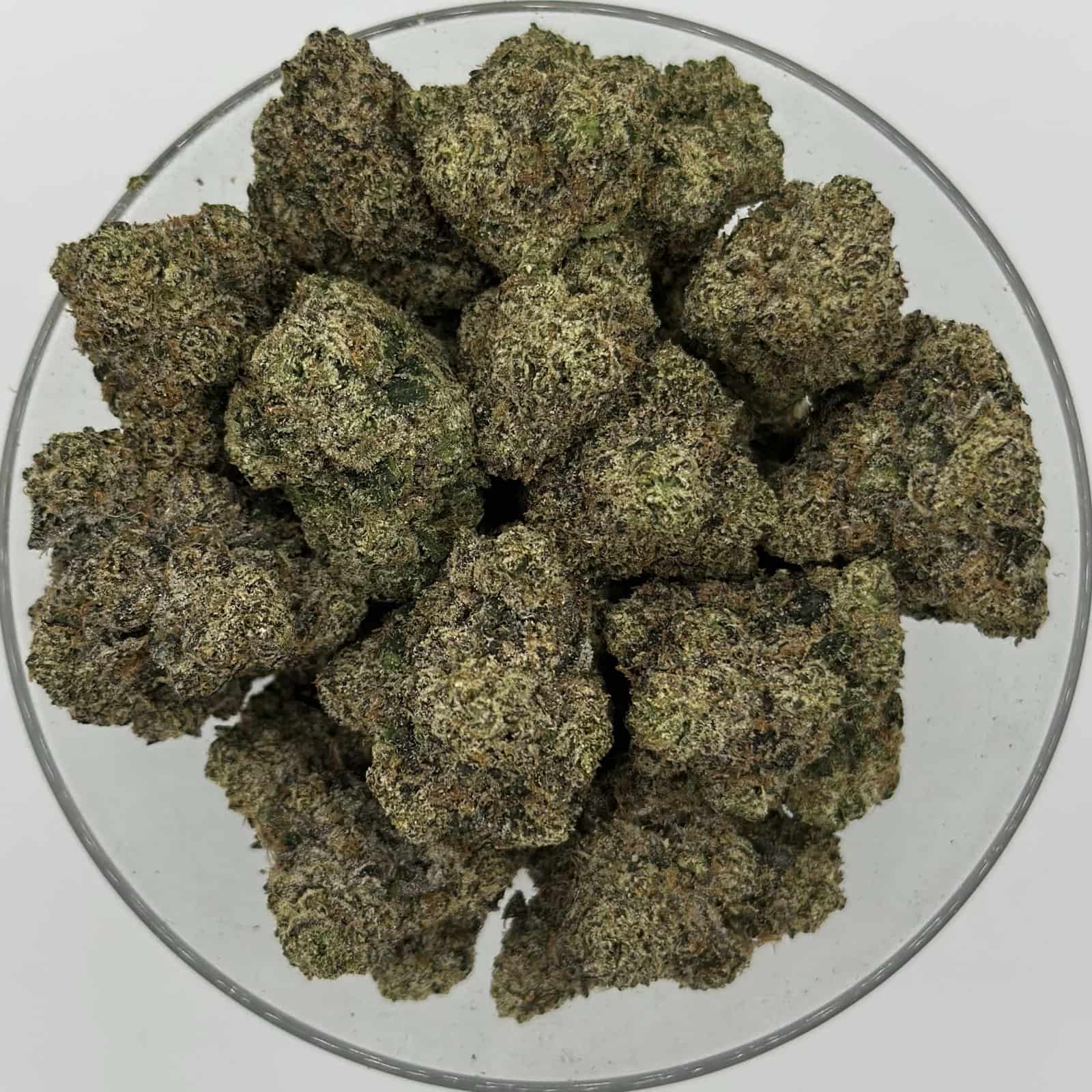 white cherry gelato 4oz