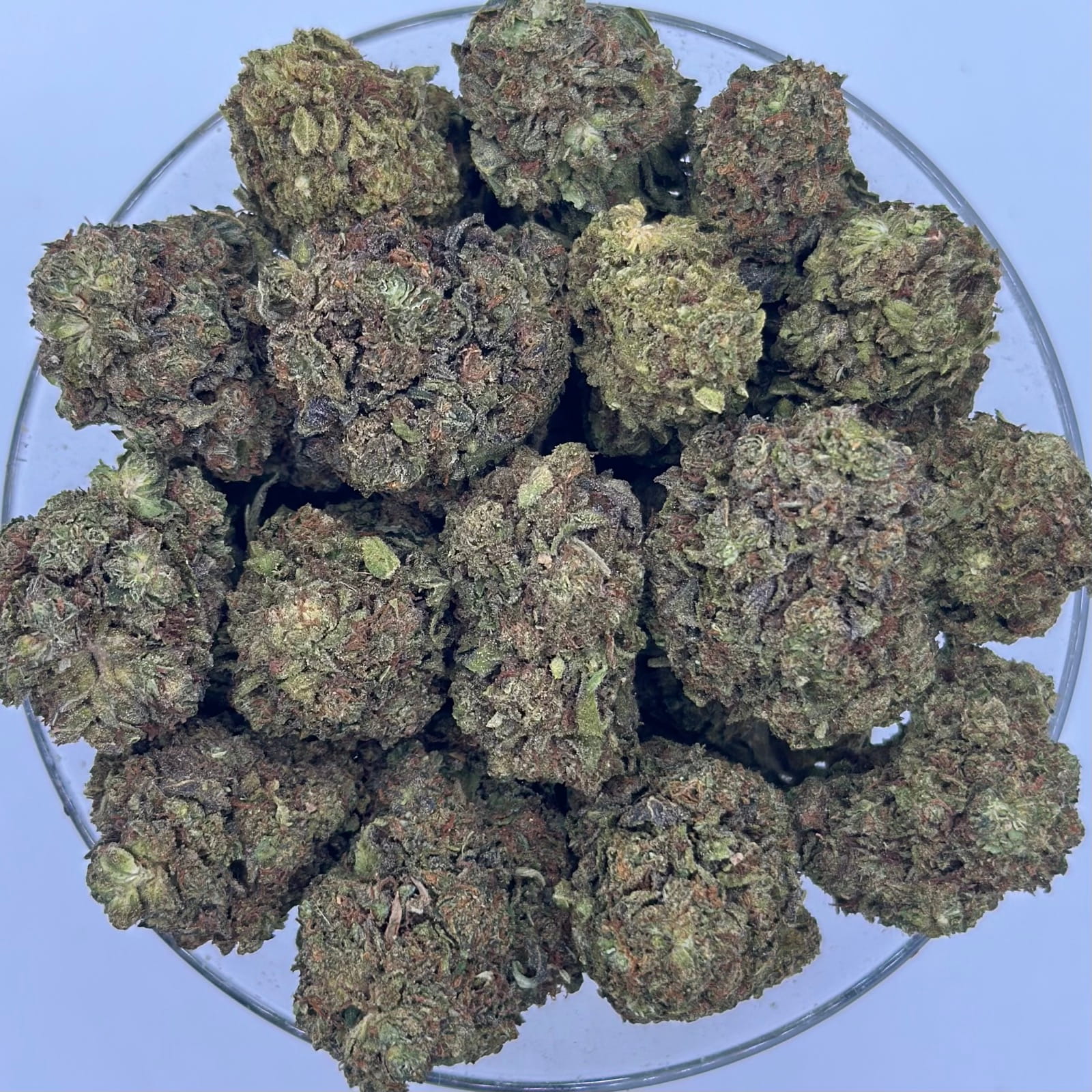 lemon cherry gelato