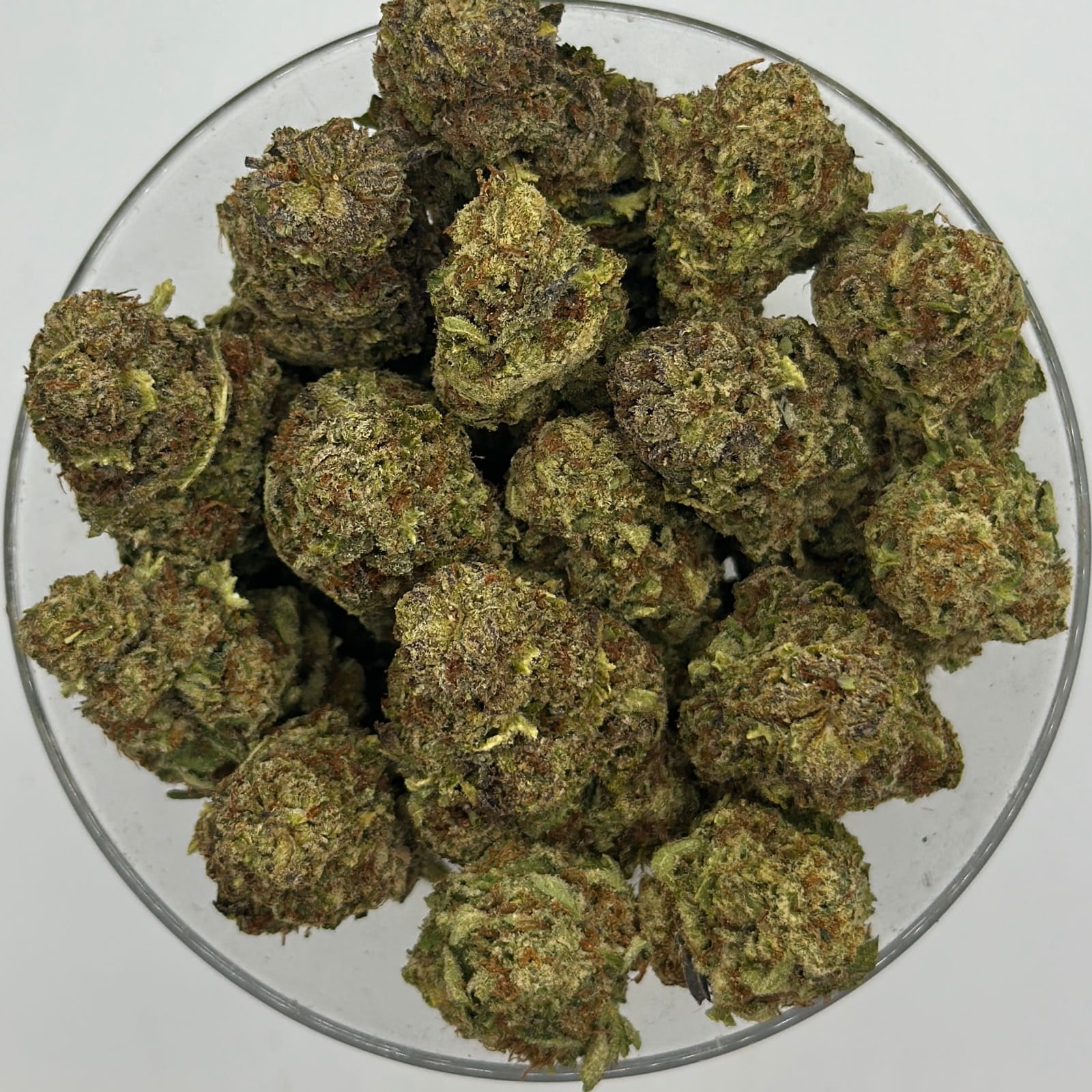 illuminati og