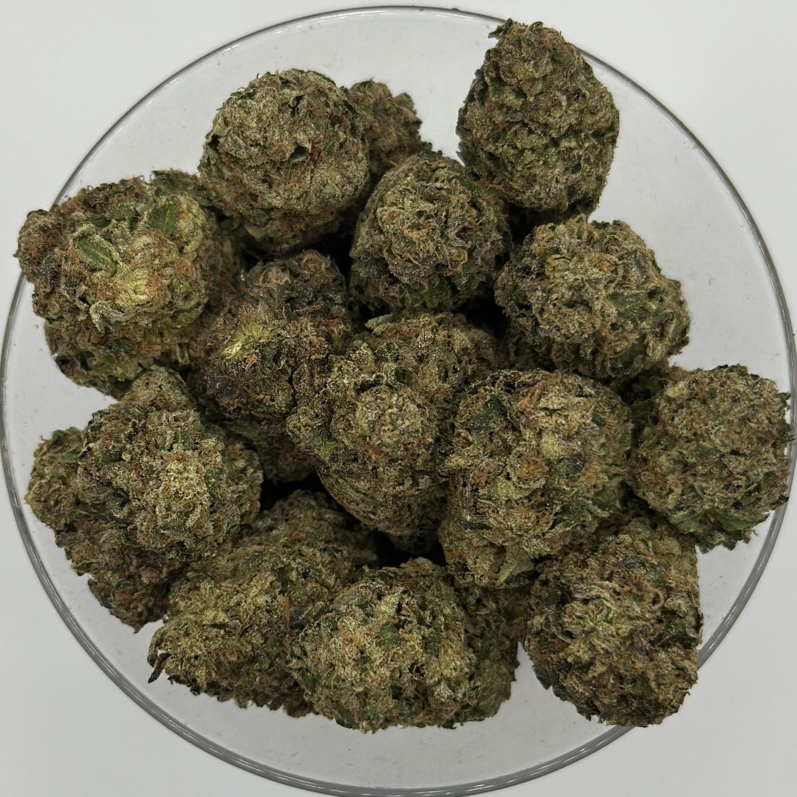 modified grapes